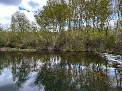 Just Nature Sounds (Birds, River, Water)