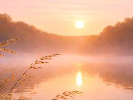 Just Pause - Take A Breath