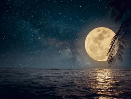 Just Sleep Guided Meditation