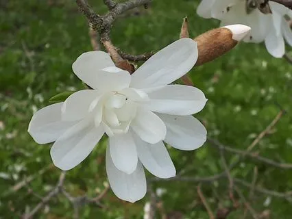 Just Start With A Breath