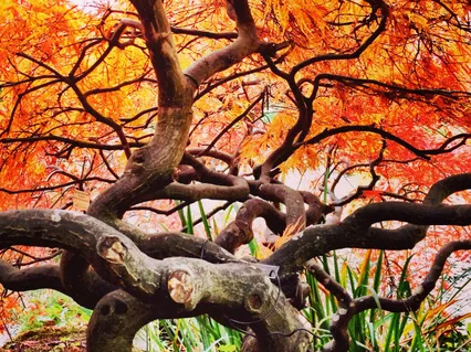 Just Thinking - Change & The Virus