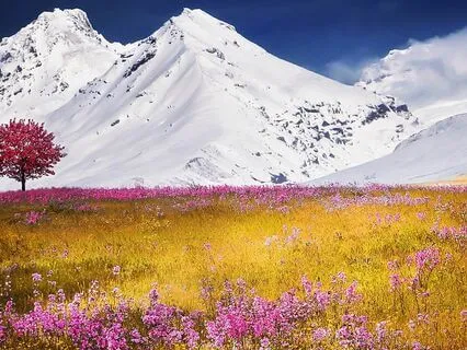 Just Thinking: Gratitude For What Is