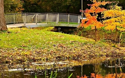 Just Thinking: The Christ Mind, My Shepherd