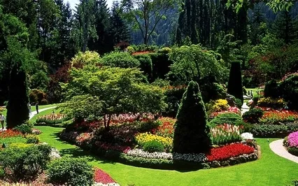 Just Thinking: What's In Your Garden?