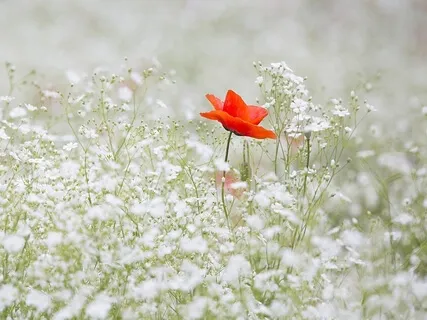 Just This One Breath (Less Instruction)