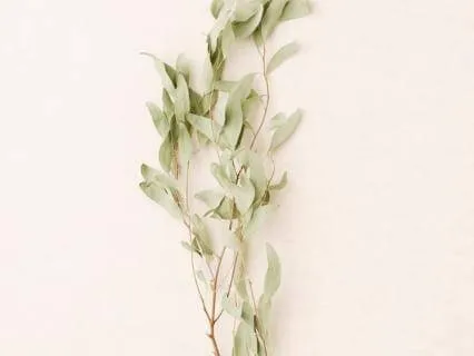 Kısa Mindfulness Meditasyonu