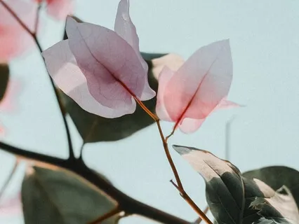 Аффирмации Для Женщин. Принятие Себя