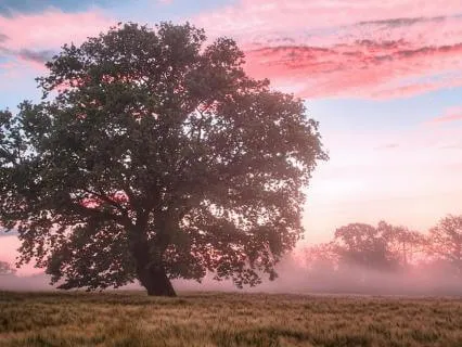 Kabbalah Meditation For Taurus (Iyar)