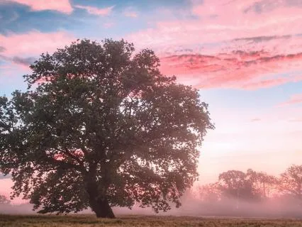Kabbalah Meditation For Cancer (Tammuz)