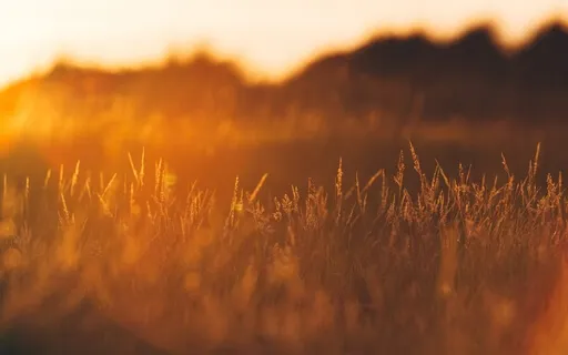 Kabbalistic Blessings And Curses - Weekly Energy Boost