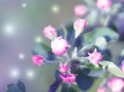 Kærlig-Venlighed Til Os Selv (MSC)