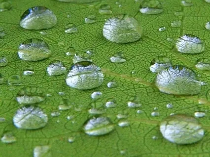 Käesoleva hetke teadvustamine