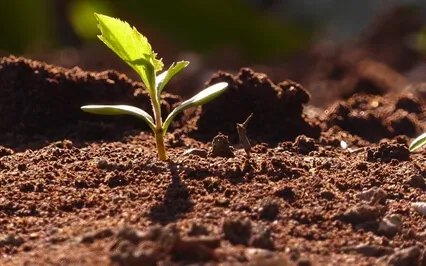 Kahlil Gibran: On Buying and Selling