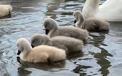 Kahlil Gibran: On Children