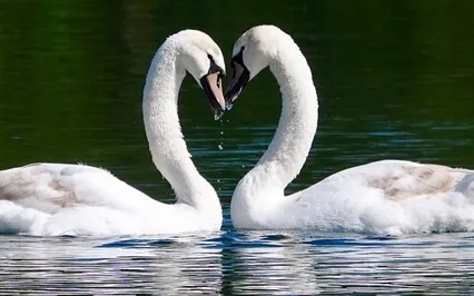 Kahlil Gibran: On Love