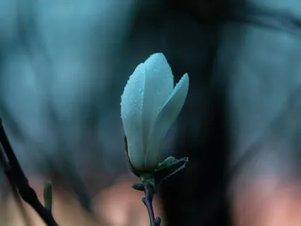 Как Отпустить Беспокойство или Дискомфорт?