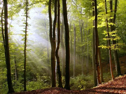 Как Развить Интуицию? Как Научиться Слышать Себя