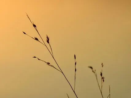 Как Жить в Своем Времени