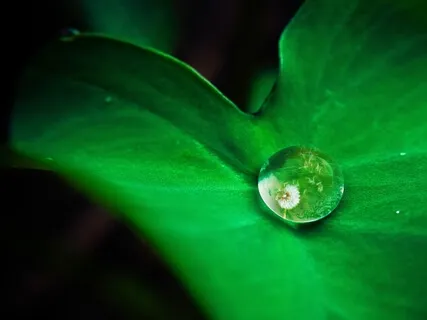 Känn mer lycka och frid i livet