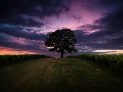 Känslan och kärleken