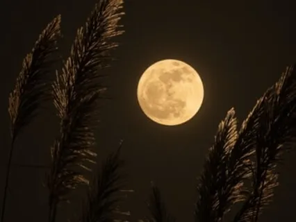 Kapalini Nitya: Moon Goddess Of Skulls