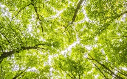 Kapha Balancing Sound Bath