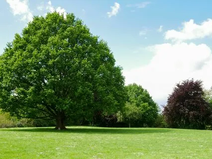 2.6 Föräldrameditation För Anknytning Och Närvaro