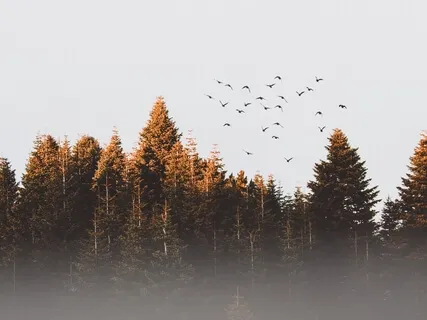 Kärleksmeditation och bön