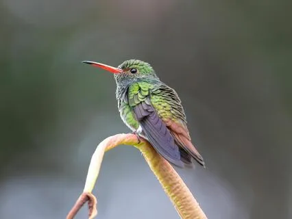 Karma, Sublime Journey Of The Soul Seeking Love