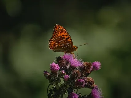 Karma Yoga: A Labor Of Love