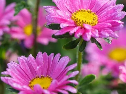 Karma Yoga, What Should I Do, I Am Suffering