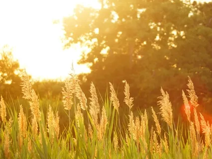 Karuna - A Practice On Self Compassion