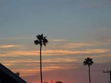 Karuna Reiki Sound Meditation