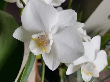 Katy Flow Meditation - Relaxation Session