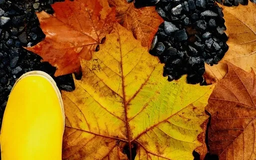 Keep Calmly Knowing Idiots: Practices For Working With Anger