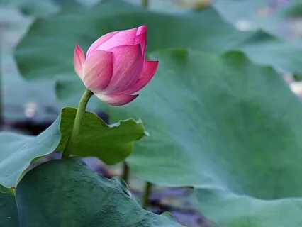 Keep Going, You're Growing