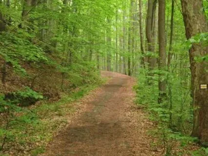 Keep Healthy Habits, Make Better Choices, & Feel Empowered