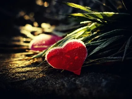 Keep Softness In Your Heart - Poem