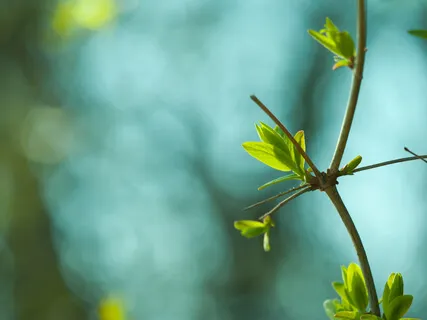 Keep The Conversation Open: Healing Difficult Emotions