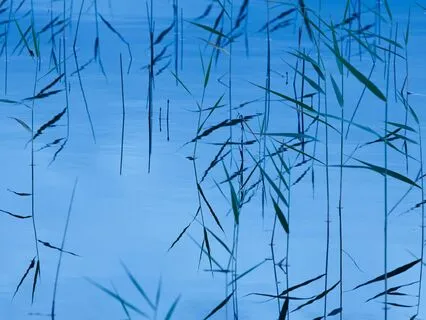 Keeping The Past In The Past