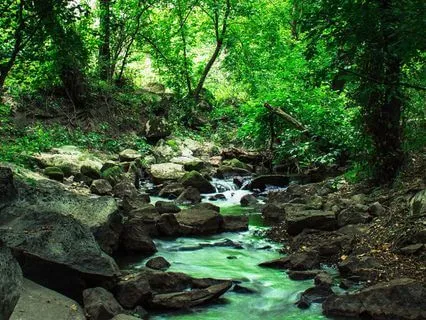 Keeping The Promise: A Consistency & Commitment Meditation