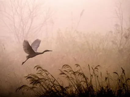 Keeping Your Center During Challenging Times-Olivia Parr-Rud