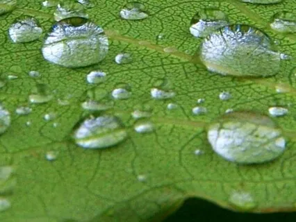 Keha vaatlemise harjutus