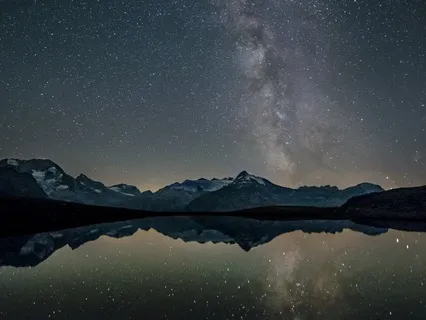 Kelp Forests For Peaceful Sleep Learning