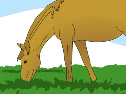 Kelti Learns To Ride