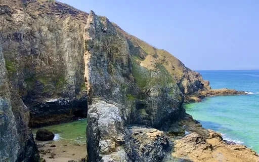 Coastal Reverie With Birdsong