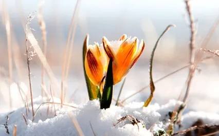 Kevätpäiväntasaus