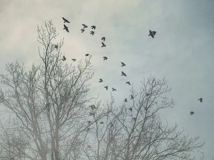 Keys To Deep Peace And Love #1