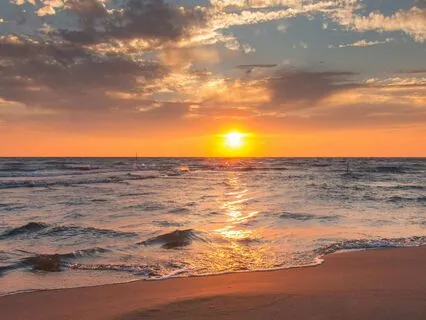 Keys To Embracing Your One Wild Self And Precious Life