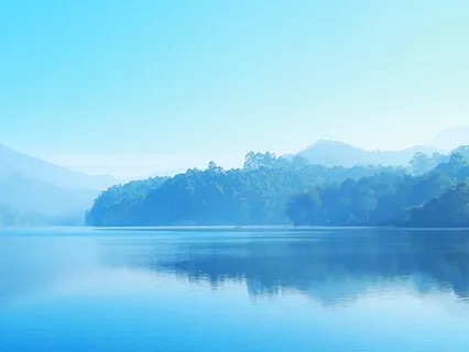 Meeting The Real You